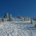 Alpen