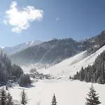 Alpen * Zauchensee