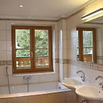 Alpen Appartement Zauchensee