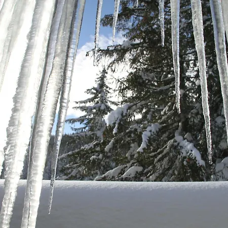 Alpen Apartamento Zauchensee