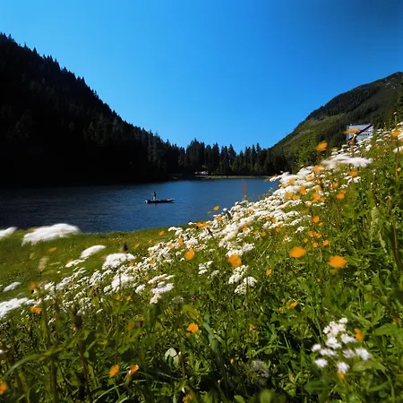 Alpen Appartements Zauchensee Lägenhet Zauchensee