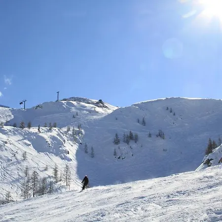 Alpen Appartamento *