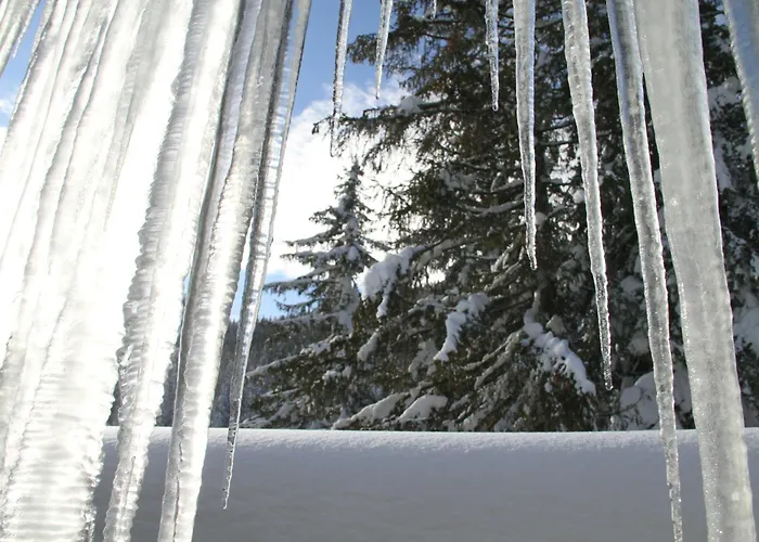 Alpen Apartamento Zauchensee